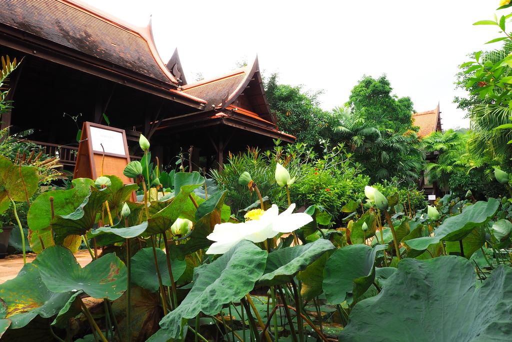 Bhandari Resort & Spa Khaolak — Пхангнга, Таїланд мініатюра 9