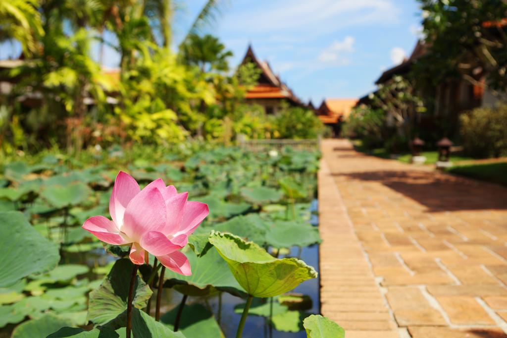 Bhandari Resort & Spa Khaolak — Пхангнга, Таїланд мініатюра 40