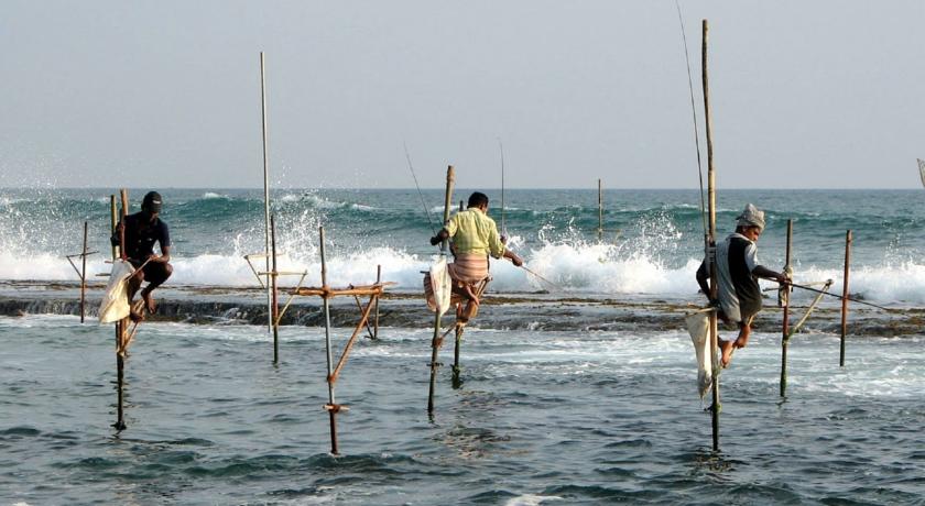 Coco Bay Unawatuna — Унаватуна, Шрі Ланка мініатюра 41