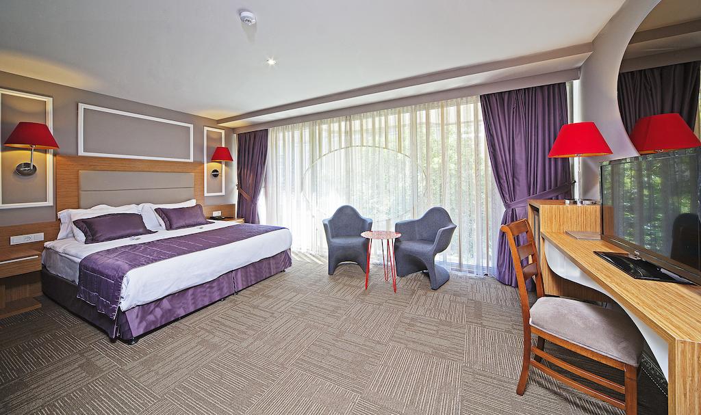 All Seasons Hotel — Стамбул, Туреччина мініатюра 8