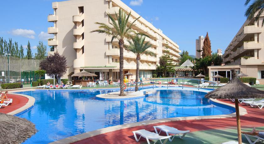 HM Martinique Aparthotel Magaluf — Кальвія, Іспанія мініатюра 6