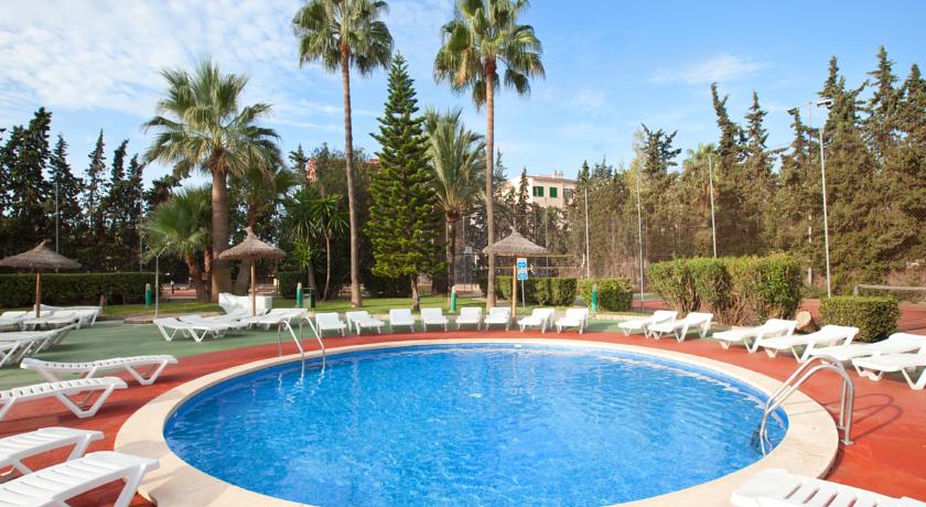 HM Martinique Aparthotel Magaluf — Кальвія, Іспанія мініатюра 7