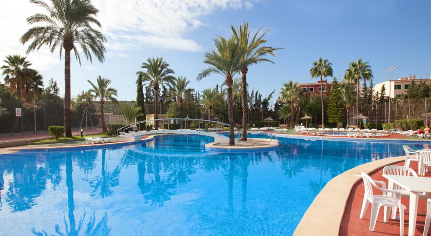 HM Martinique Aparthotel Magaluf — Кальвія, Іспанія мініатюра 9