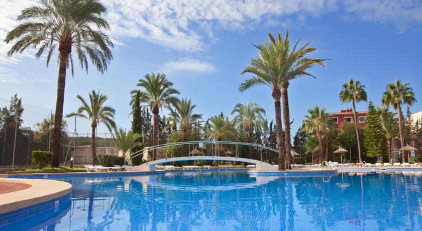 HM Martinique Aparthotel Magaluf — Кальвія, Іспанія мініатюра 10