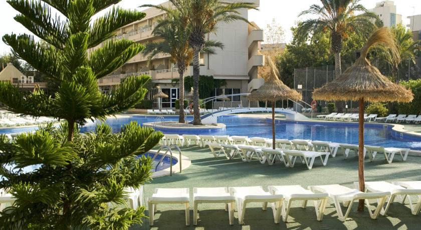 HM Martinique Aparthotel Magaluf — Кальвія, Іспанія мініатюра 11