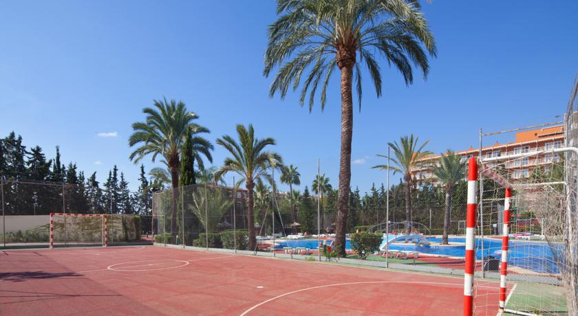 HM Martinique Aparthotel Magaluf — Кальвія, Іспанія мініатюра 17