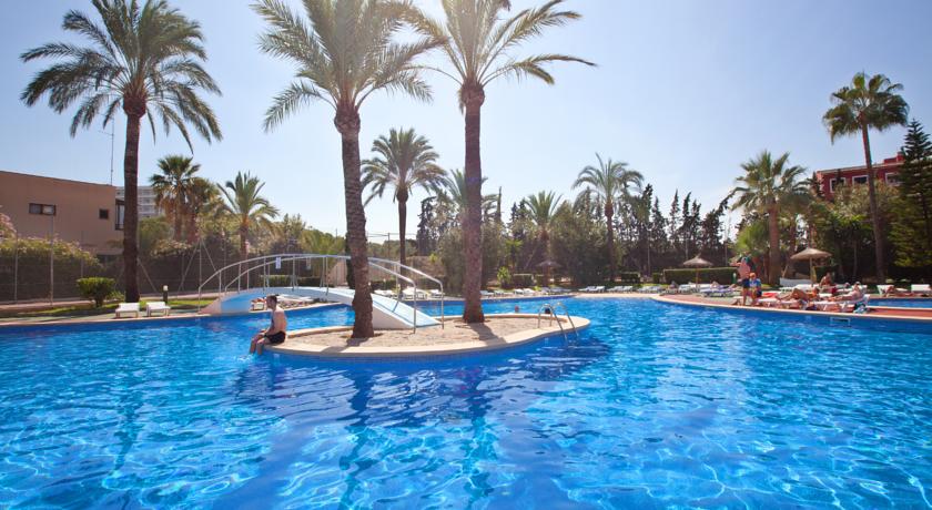 HM Martinique Aparthotel Magaluf — Кальвія, Іспанія мініатюра 23