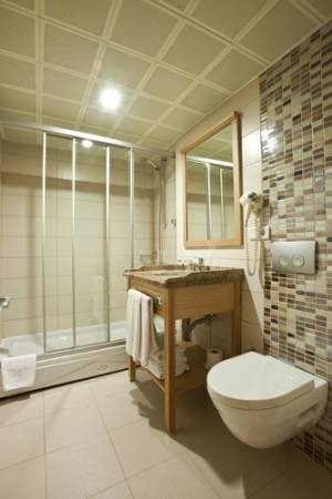 Erboy Hotel — Стамбул, Туреччина мініатюра 41