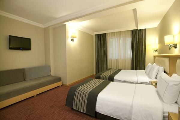Erboy Hotel — Стамбул, Туреччина мініатюра 44