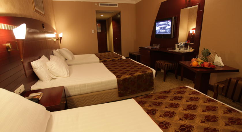 Nova Plaza Orion Hotel — Стамбул, Туреччина мініатюра 34