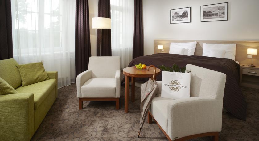 Harvey Spa & Kur Hotel — Франтішкови Лазні, Чехія мініатюра 26