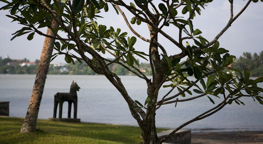 Avani Kalutara Resort — Калутара, Шрі Ланка мініатюра 130