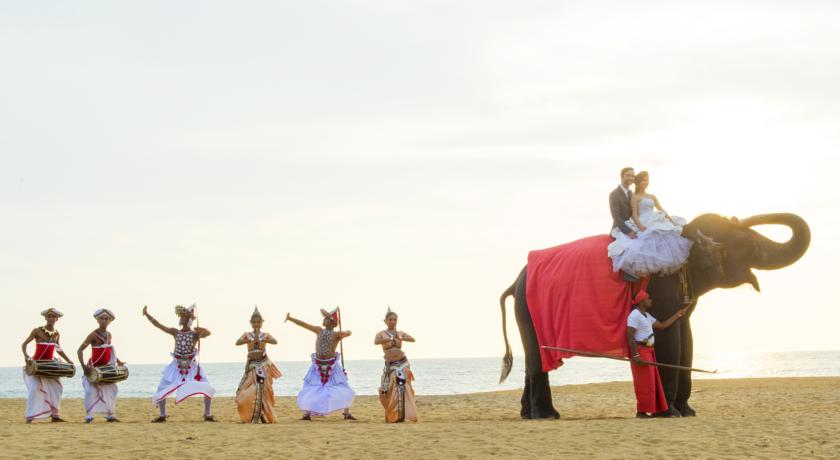 Avani Kalutara Resort — Калутара, Шрі Ланка мініатюра 136