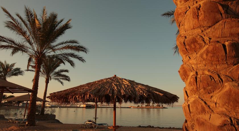 Continental Hotel Hurghada — Хургада, Єгипет мініатюра 356