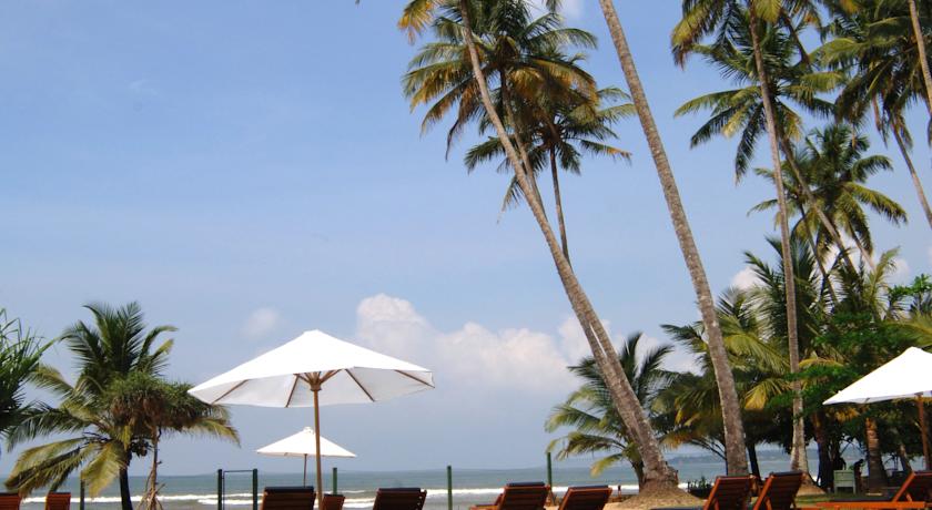 Mandara Resort Mirissa — Мірісса, Шрі Ланка мініатюра 20