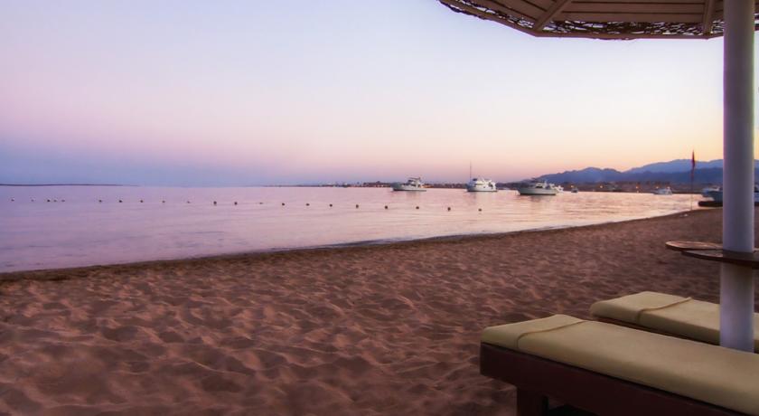 Eagles Paradise Abu Soma Resort — Сафага, Єгипет мініатюра 20