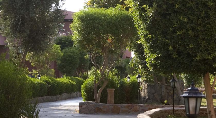 Eagles Paradise Abu Soma Resort — Сафага, Єгипет мініатюра 32