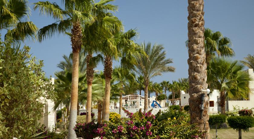 Coral Beach Hurghada — Хургада, Єгипет мініатюра 10