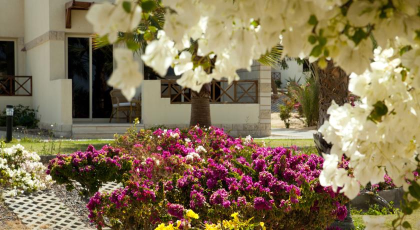 Coral Beach Hurghada — Хургада, Єгипет мініатюра 20