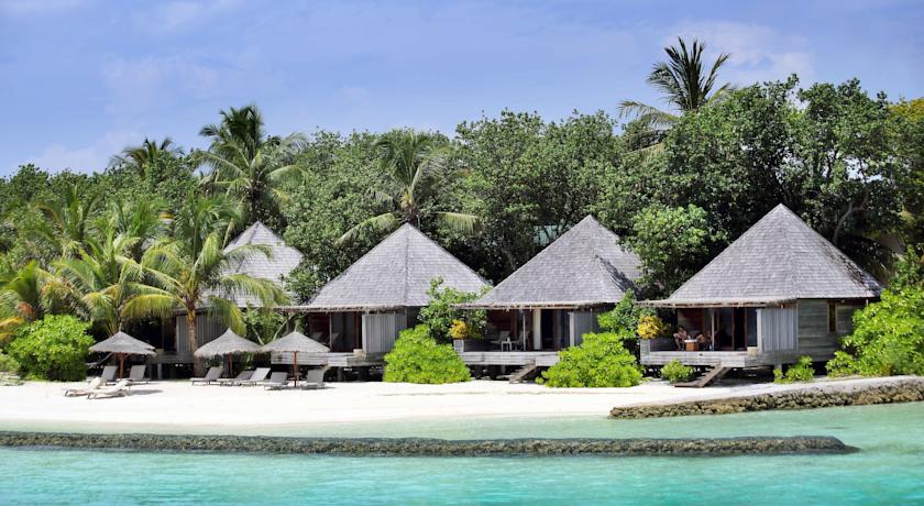 Gangehi Island Resort & Spa — Арі (Аліфу) атол, Мальдіви мініатюра 8