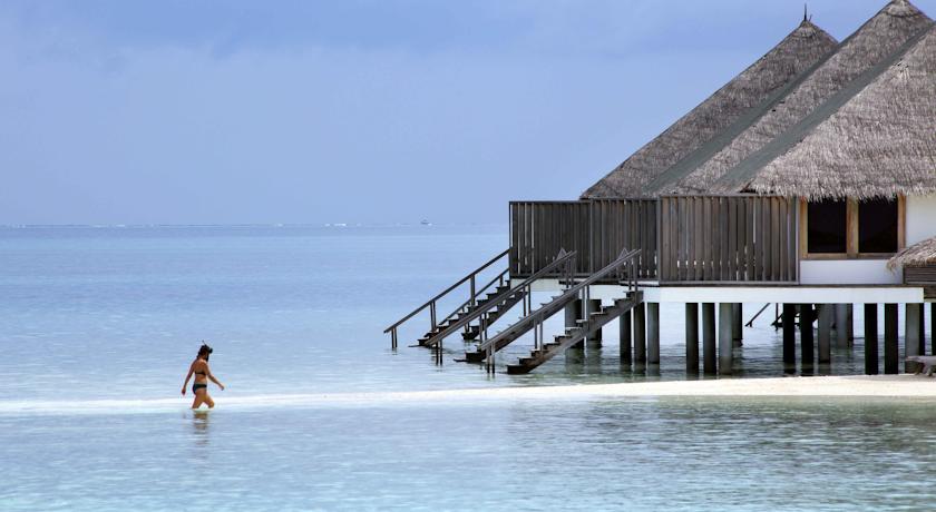 Gangehi Island Resort & Spa — Арі (Аліфу) атол, Мальдіви мініатюра 12