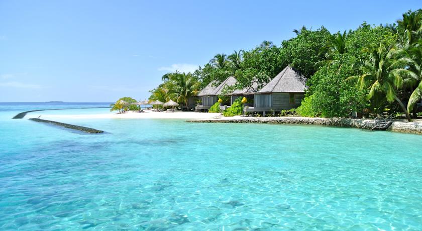 Gangehi Island Resort & Spa — Арі (Аліфу) атол, Мальдіви мініатюра 13