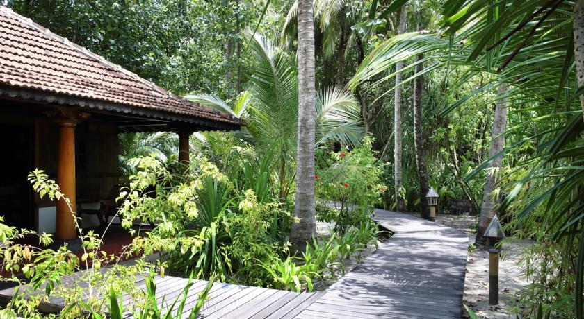 Gangehi Island Resort & Spa — Арі (Аліфу) атол, Мальдіви мініатюра 14