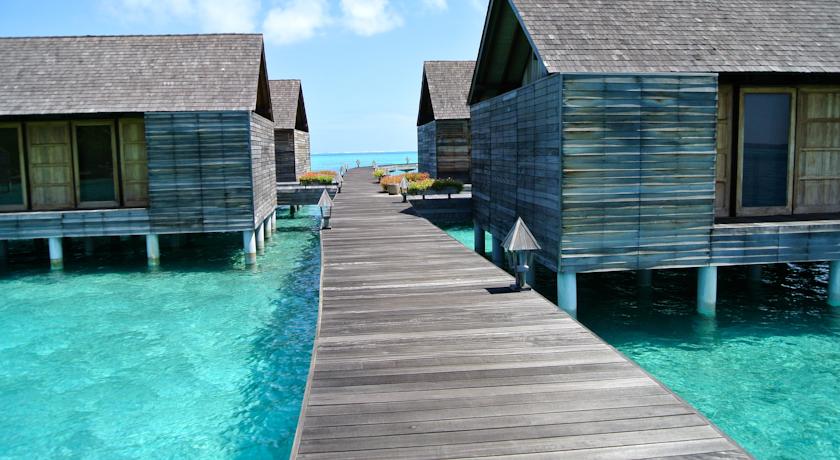 Gangehi Island Resort & Spa — Арі (Аліфу) атол, Мальдіви мініатюра 30