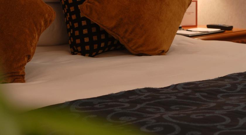 Millennium Plaza Downtown Suites — Дубаї, Об'єднані Арабські Емірати мініатюра 87