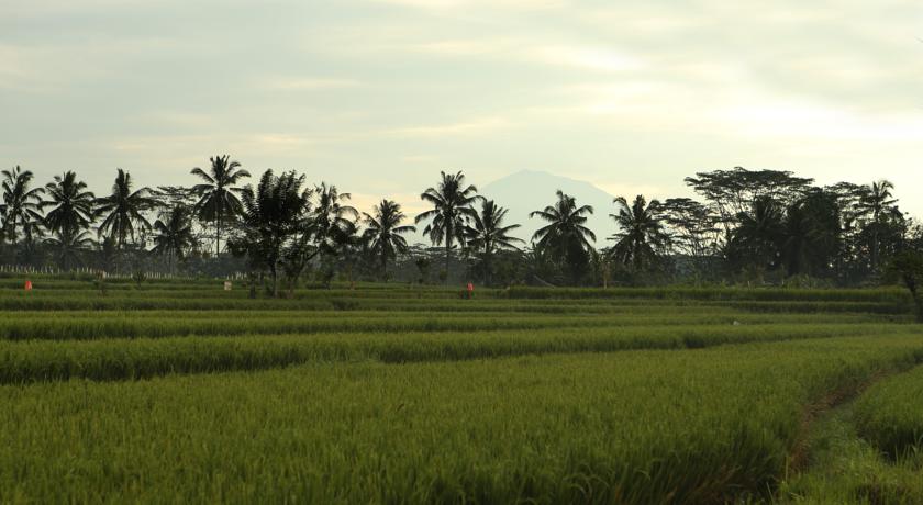 Alila Ubud, о. Балі, Індонезія мініатюра 10