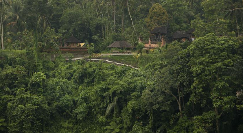 Alila Ubud, о. Балі, Індонезія мініатюра 27