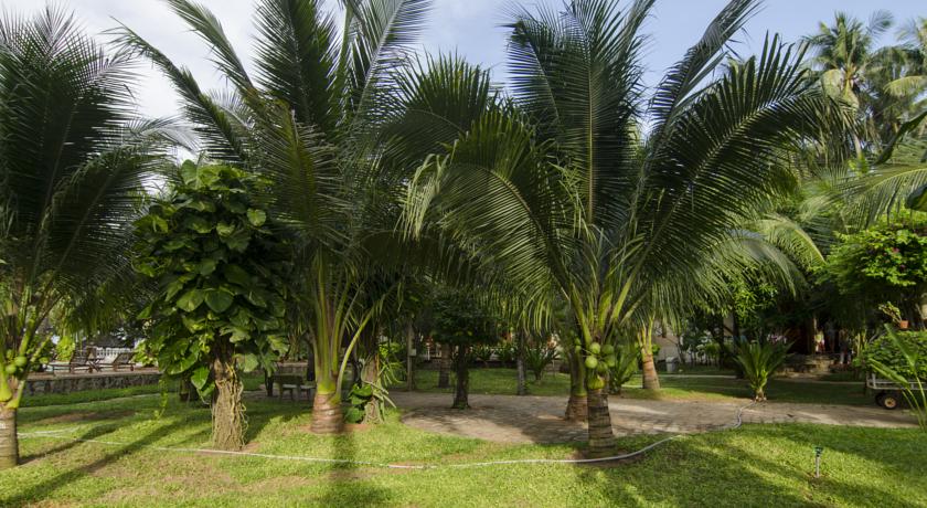 Thai Hoa Mui Ne Resort — Муйне, В'єтнам мініатюра 32