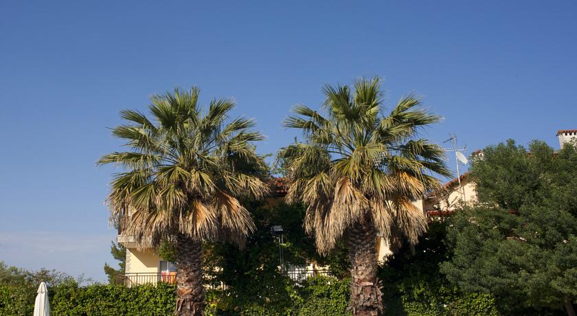 Theo Bungalows — Халкідікі, Греція мініатюра 15