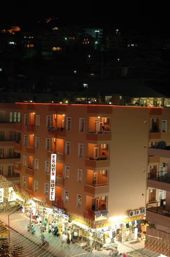 Ergun Hotel — Аланья, Туреччина мініатюра 20