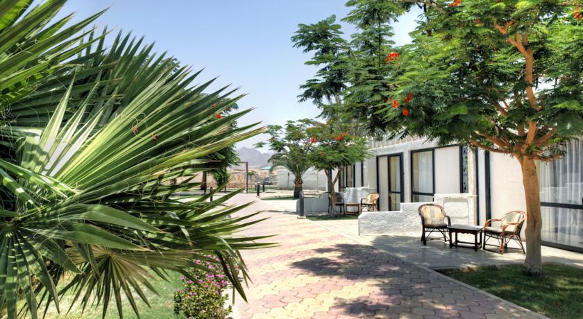 Albatros Sharm Resort — Шарм-ель-Шейх, Єгипет мініатюра 9