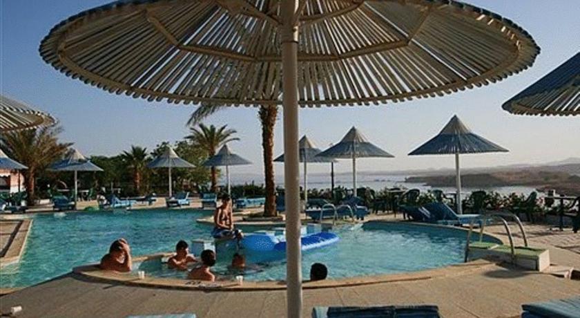 Albatros Sharm Resort — Шарм-ель-Шейх, Єгипет мініатюра 11