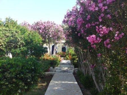 Coriva Beach Hotel — о. Крит, Греція мініатюра 121