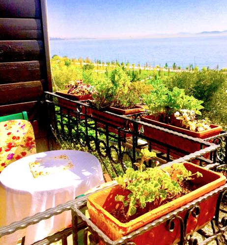 Deniz Houses Hotel Sultanahmet — Стамбул, Туреччина мініатюра 13