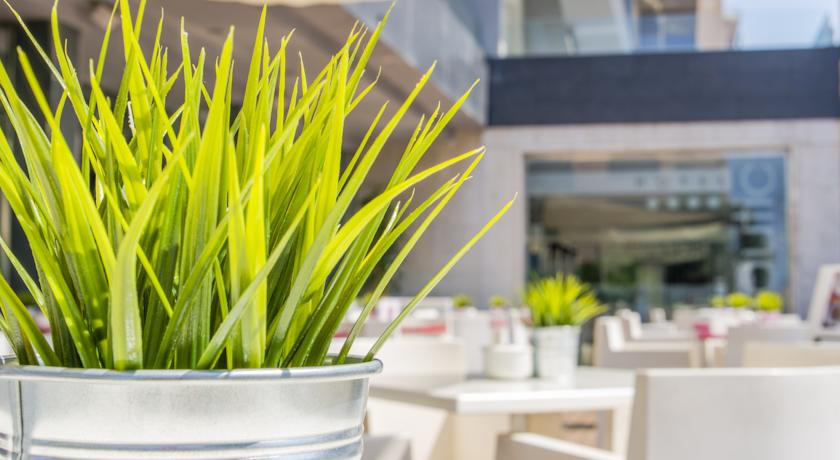Nautic Hotel & Spa — о. Майорка, Іспанія мініатюра 24