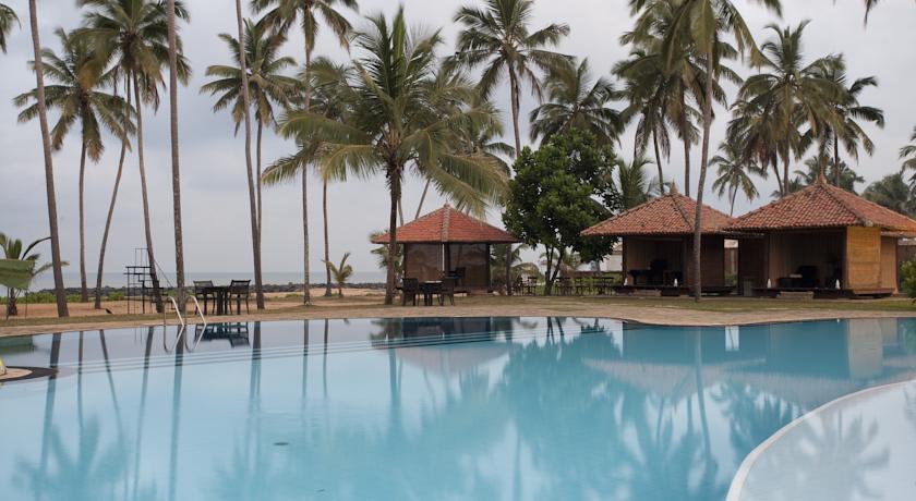 Dolphin Club Hotel — Вайккала, Шрі Ланка мініатюра 45
