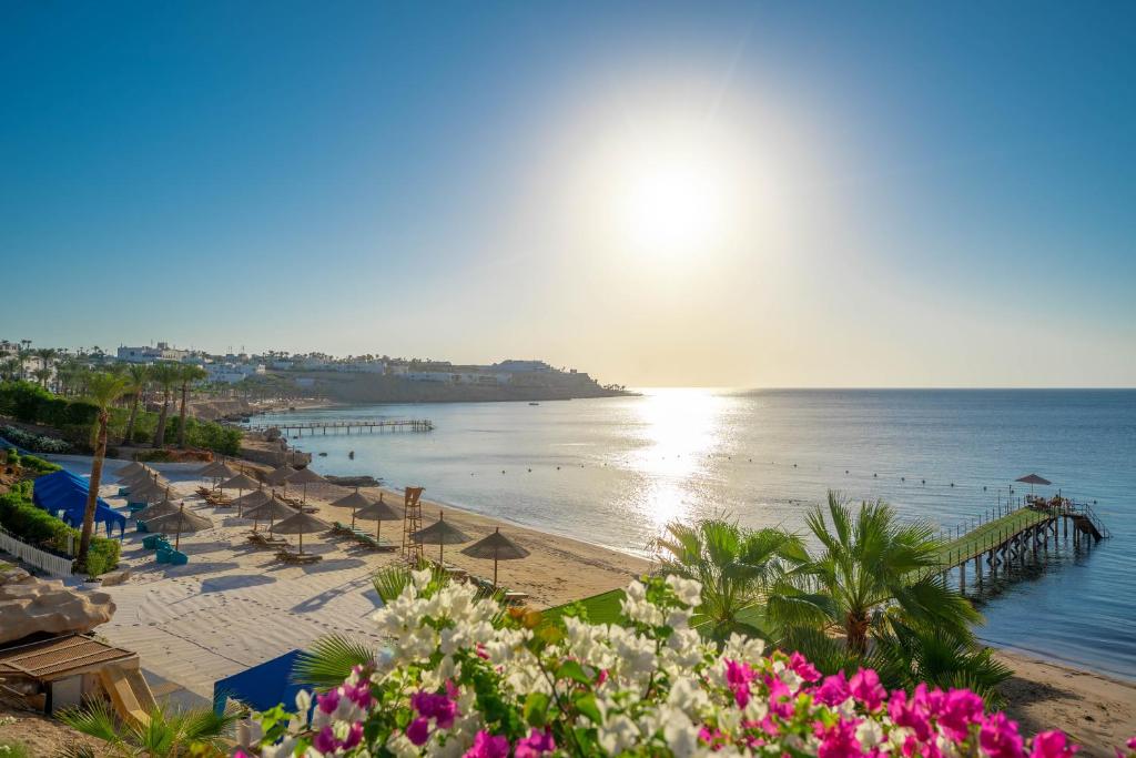 Park Regency Sharm El Sheikh — Шарм-ель-Шейх, Єгипет мініатюра 82