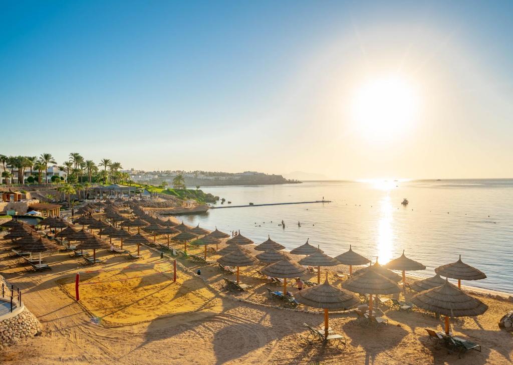 Park Regency Sharm El Sheikh — Шарм-ель-Шейх, Єгипет мініатюра 78