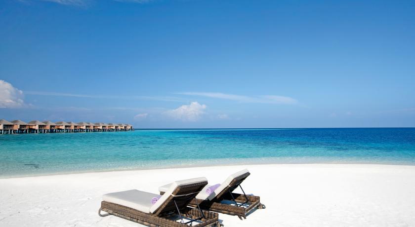 Constance Moofushi Resort — Арі (Аліфу) атол, Мальдіви мініатюра 6
