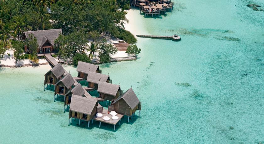 Constance Moofushi Resort — Арі (Аліфу) атол, Мальдіви мініатюра 9