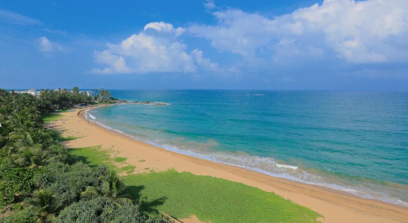 Pandanus Beach Resort & Spa — Індурува, Шрі Ланка мініатюра 6