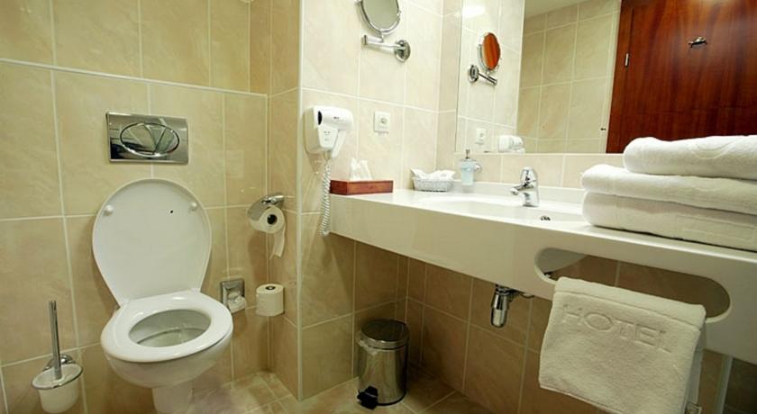Olympia Spa Hotel — Маріанські Лазнe, Чехія мініатюра 11