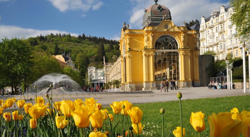 Orea Spa Hotel Cristal — Маріанські Лазнe, Чехія мініатюра 36