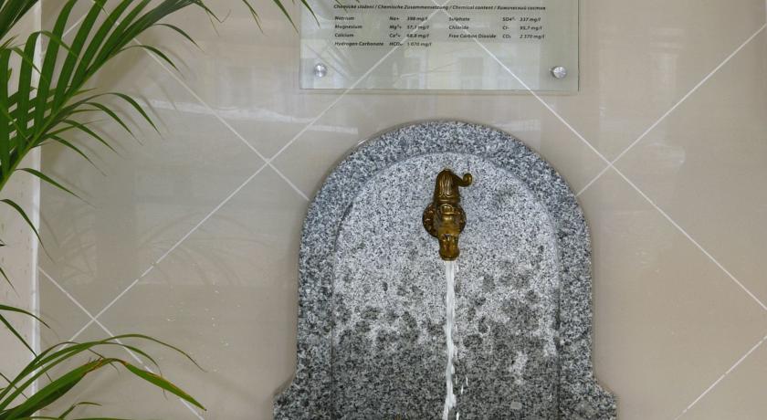 Ensana Svoboda Health Spa Hotel — Маріанські Лазнe, Чехія мініатюра 6