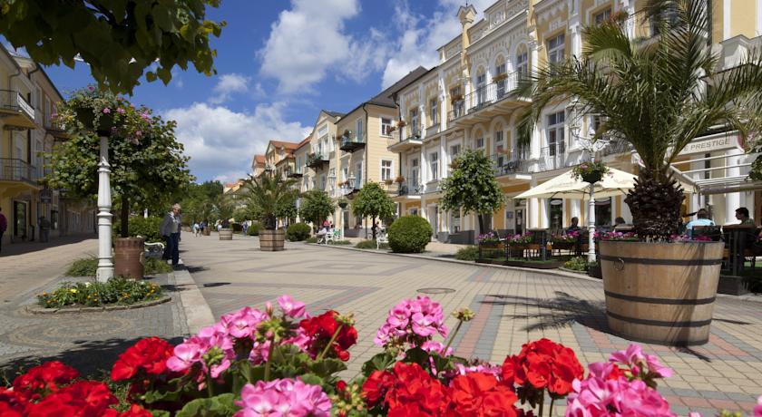 Savoy — Франтішкови Лазні, Чехія мініатюра 39