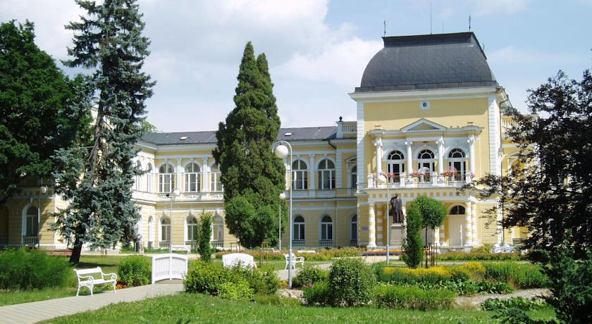 Dr. Adler Spa Hotel — Франтішкови Лазні, Чехія мініатюра 11